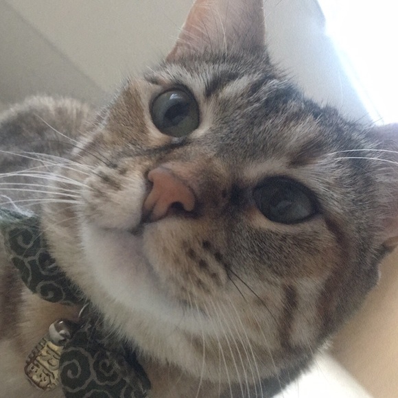 Meet your Posher, Anna - Picture 2 of 2